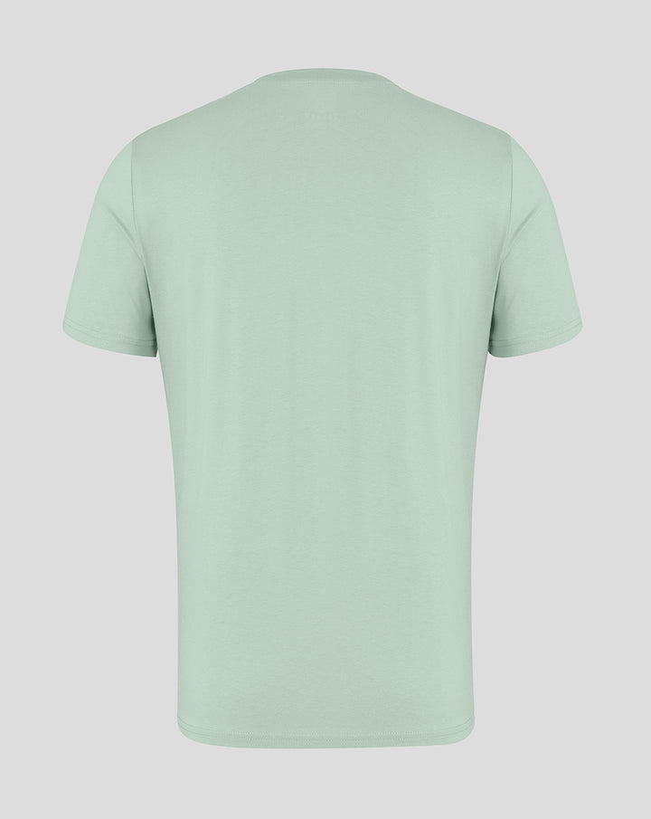 Back view of Aloe green unisex Big Wings T-Shirt.