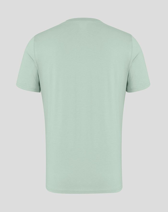 Back view of Aloe green unisex Big Wings T-Shirt.