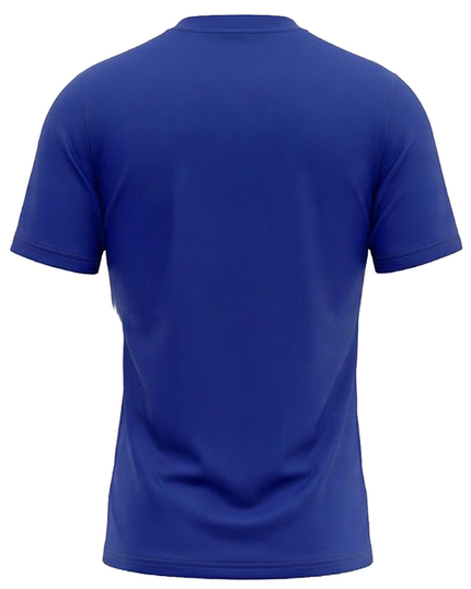 MENS 2026 HK7s GRAPHIC TRAINING TEE - BLUE